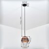 Ripoll hanging light, pendant light clear, coppery, 1-light source