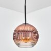 Ripoll hanging light, pendant light clear, coppery, 1-light source