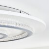 Lidor ceiling light LED grey, white, 1-light source, Remote control