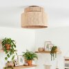 Rivan ceiling light beige, 1-light source