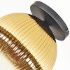 Koyoto ceiling light, globe light 30 cm gold, clear, 1-light source
