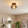 Koyoto ceiling light, globe light 30 cm clear, Smoke-coloured, 1-light source