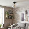 Koyoto ceiling light, globe light 30 cm clear, 1-light source
