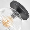 Ripoll ceiling light, globe light clear, 1-light source