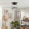 Ripoll ceiling light, globe light clear, Smoke-coloured, 1-light source