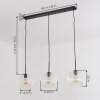 Ripoll hanging light, globe light, pendant light clear, 3-light sources