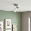 Sivol ceiling light, ceiling spotlight matt nickel, sand-coloured, 1-light source