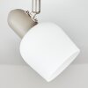 Sivol ceiling light, ceiling spotlight matt nickel, sand-coloured, 1-light source