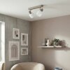 Sivol ceiling light, ceiling spotlight matt nickel, sand-coloured, 2-light sources