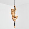 Evelis hanging light, pendant light gold, black, 1-light source