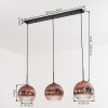 Ripoll hanging light, globe light, pendant light clear, coppery, 3-light sources