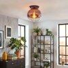 Koyoto ceiling light, globe light 30 cm clear, coppery, 1-light source