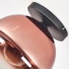 Koyoto ceiling light, globe light 30 cm clear, coppery, 1-light source