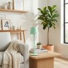 Salgadinho Outdoor table lamp, table lamp LED green, 1-light source