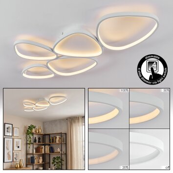Molin ceiling light LED white, 1-light source