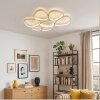 Molin ceiling light LED white, 1-light source