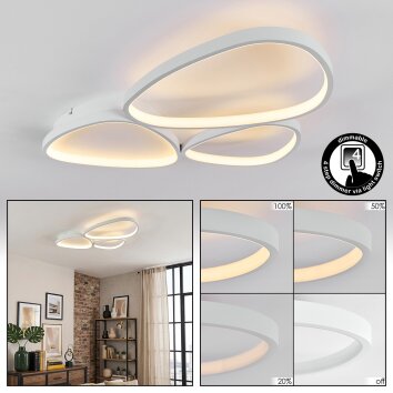 Molin ceiling light LED white, 1-light source