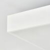 Kadin ceiling light, Panel LED white, 1-light source