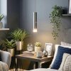 Molten hanging light, pendant light LED matt nickel, 1-light source