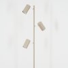 Javel floor lamp LED sand-coloured, 3-light sources