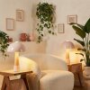 Mushroom Lamp  Forgek table lamp Champagne, Wood like finish, 1-light source