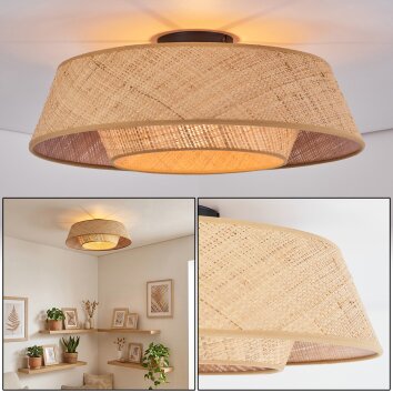 Orvex ceiling light black, 1-light source