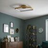 Talora ceiling light LED brass, 1-light source