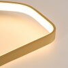 Talora ceiling light LED brass, 1-light source