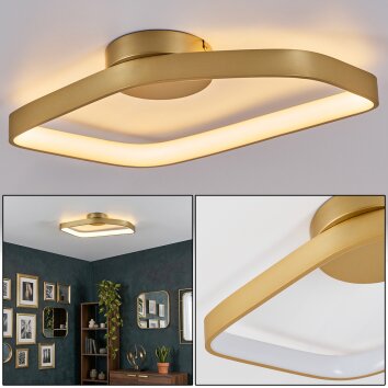 Talora ceiling light LED brass, 1-light source