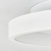 Tulin ceiling light LED white, 1-light source, Remote control