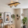 Venok ceiling light, globe light Ecru, black, 4-light sources