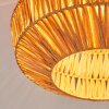 Lemal ceiling light black, 1-light source