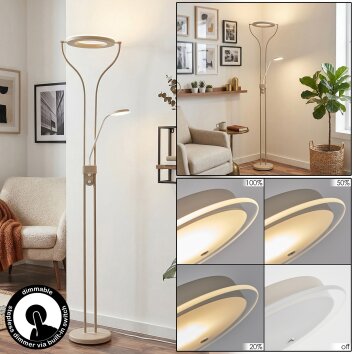 Avira floor lamp, Reading light LED sand-coloured, white, 1-light source