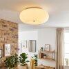 Molak ceiling light matt nickel, 2-light sources