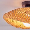 Bauro ceiling light black, 1-light source