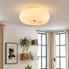Molak ceiling light matt nickel, 2-light sources