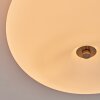 Molak ceiling light matt nickel, 2-light sources
