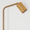 Karel floor lamp brass, 1-light source
