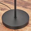 Kolin floor lamp black, 1-light source