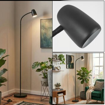 Kolin floor lamp black, 1-light source