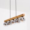 Ripoll hanging light, globe light, pendant light Ecru, black, 5-light sources