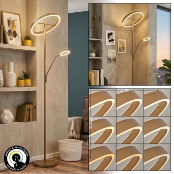 Melak floor lamp, Reading light LED gold, 2-light sources