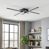 Velon ceiling light LED black, 1-light source