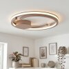 Miral ceiling light LED sand-coloured, 1-light source, Remote control