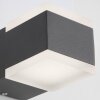 AEG Amity Outdoor Wall Light LED anthracite, 2-light sources