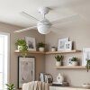 Lenok Ceiling fan light LED Wood like finish, white, 1-light source, Remote control