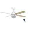 Eglo lights & Ceiling fan light LED Wood like finish, white, 1-light source, Remote control