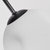 Ripoll 4-light glass globe ceiling light for living room and dining room