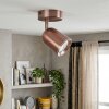 Lemak LED ceiling spotlight in copper, GU10 adjustable ceiling light with swivel head