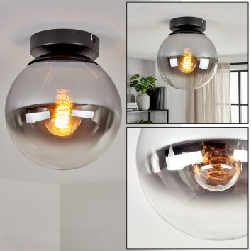 Gastor smoked glass ceiling light with globe shade, E27 vintage flush mount